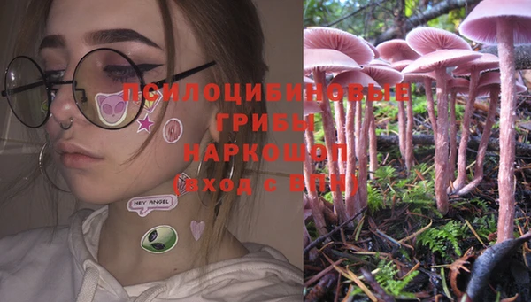 хмурый Заводоуковск
