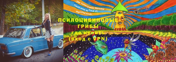 дурь Ельня