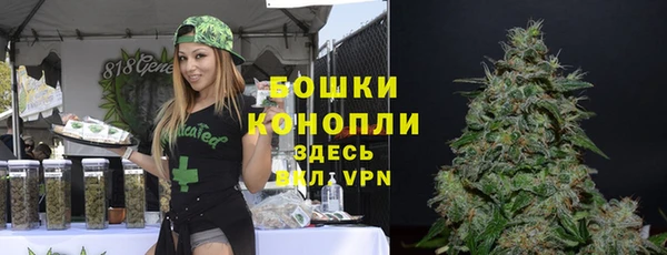 дурь Ельня